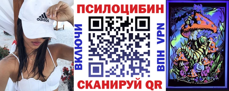 наркота  Лодейное Поле  гидра ТОР  Галлюциногенные грибы мицелий 